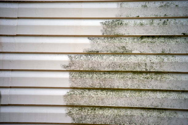 Affordable Siding Repair and Maintenance Services in North Richmond, CA